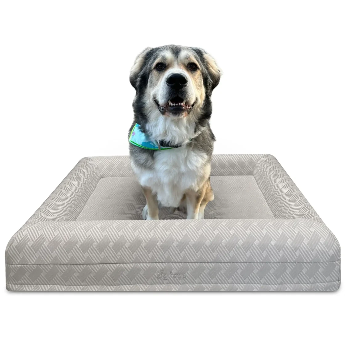 BigPaws- Orthopedic Dog Bed