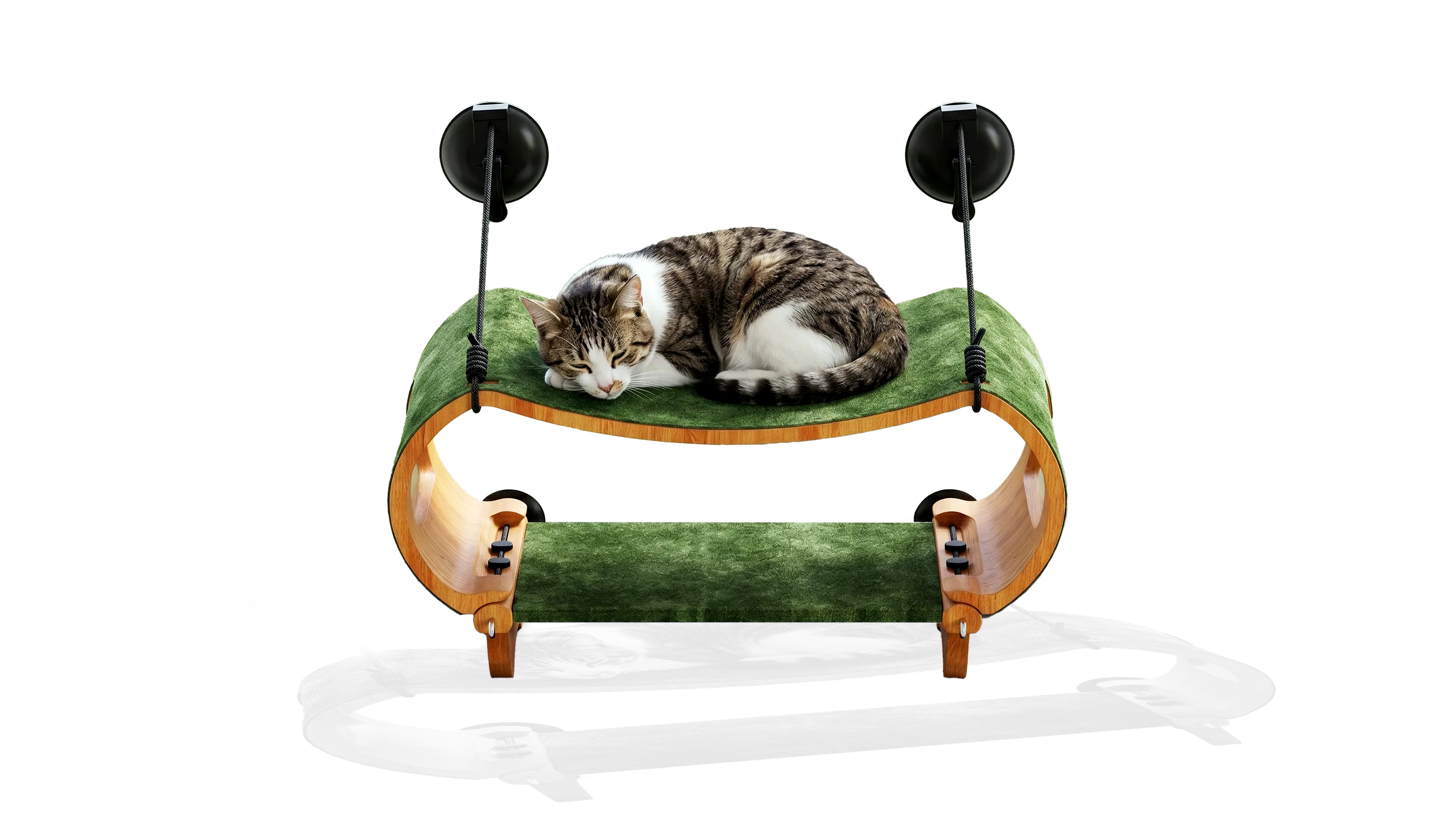 003 Cat Window Scratcher Od