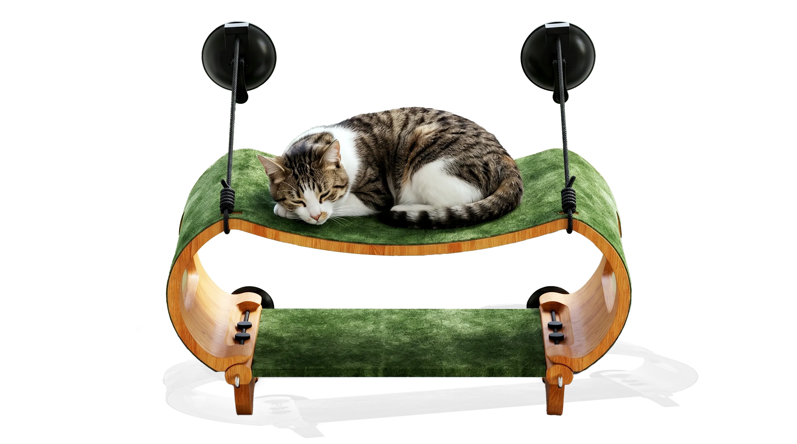 003 Cat Window Scratcher Od